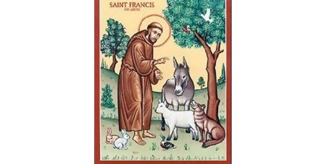 San Francesco Patrono dell’ecologia: il creato attraverso i suoi occhi