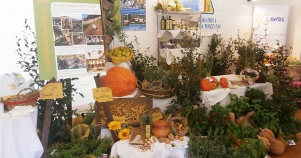 Partecipazione all’EXPO rurale 2014